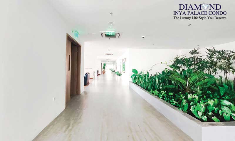 At Every Level, Every Elite's Luxurious Lifestyle Ignites